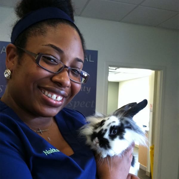 Veterinarian holding a bunny