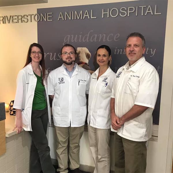Contact Riverstone Animal Hospital in Canton, GA