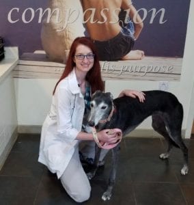 Vet standing next to a dog