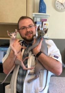 Vet holding two cats