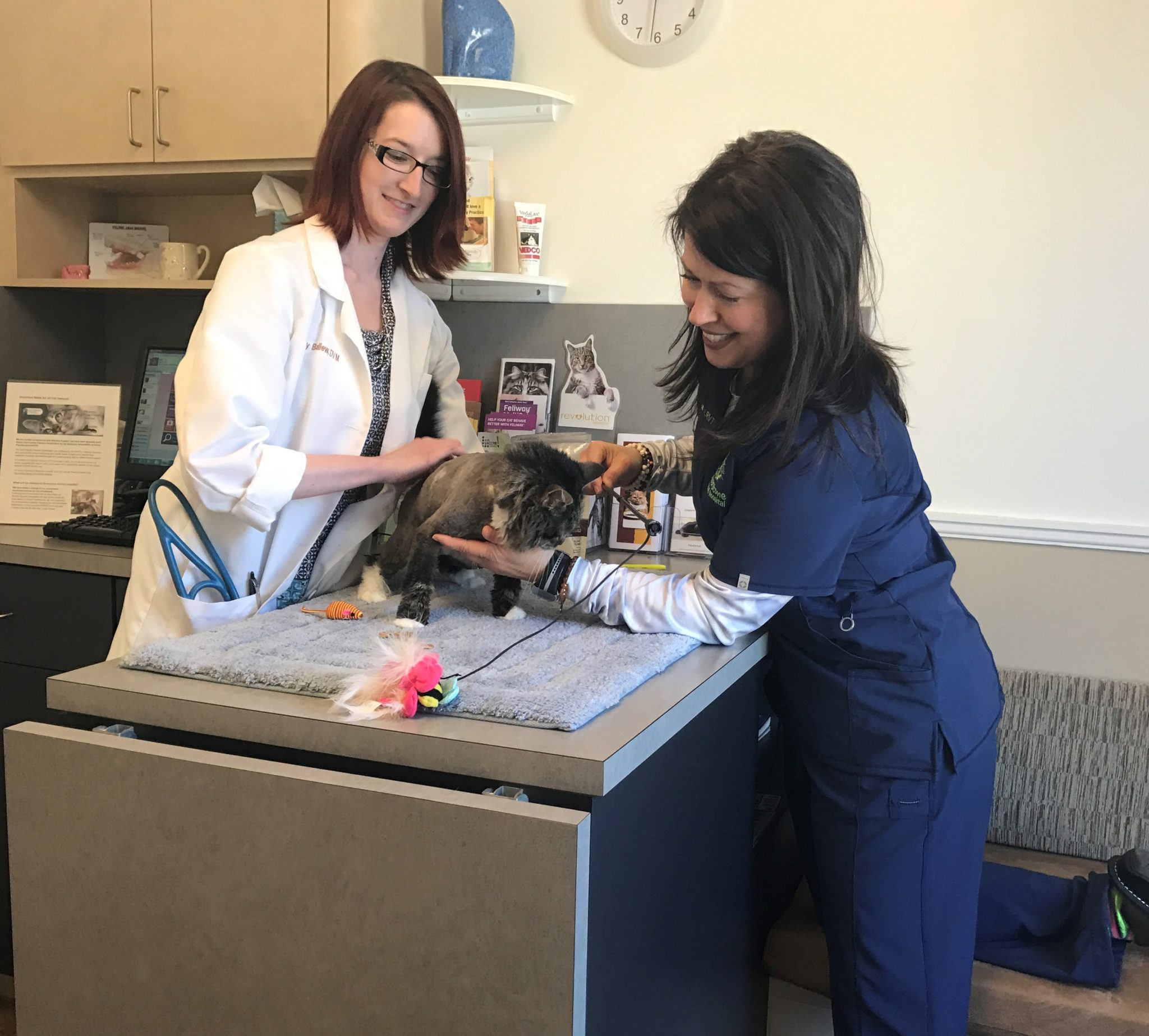 Riverstone Animal Hospital Reviews in Canton, GA Riverstone Animal Hospital Reviews in Canton, GA