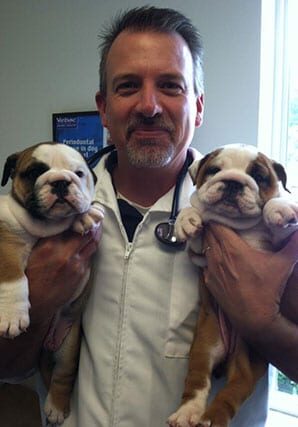 Greg Nutt DVM holding two puppies