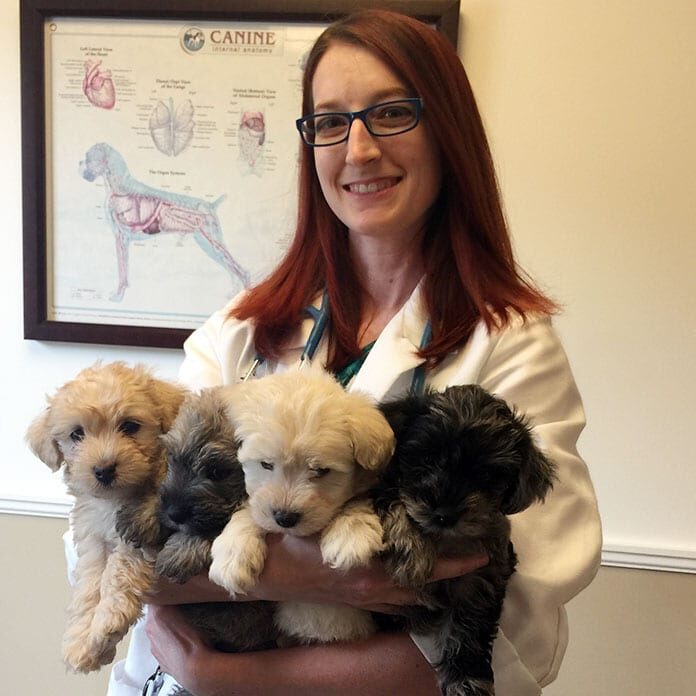 Ashley Ballew DVM holding four puppies